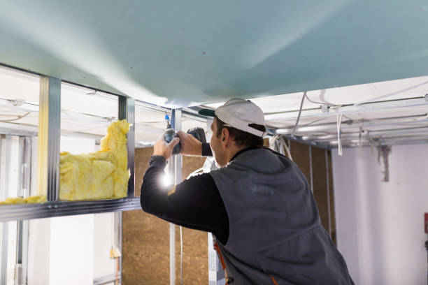 Best Geographic-Specific Insulation Services in Big Lake, TX