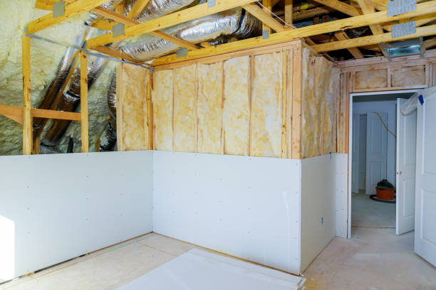 Best Specialized Insulation Services in Big Lake, TX