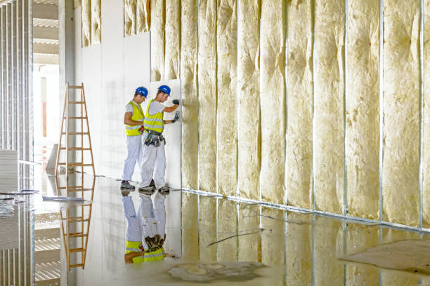 Best Cellulose Insulation in Big Lake, TX
